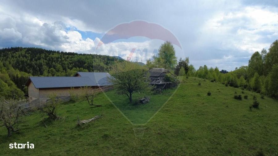 Teren 38,704mp Sirnea | 2.000 mp Intravilan | 36,704 Extravilan - 3