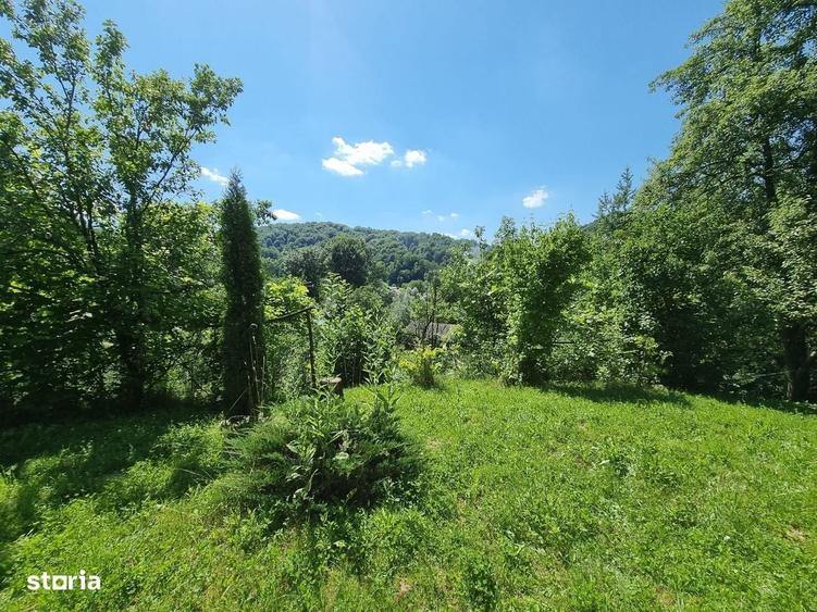 Casă cu 3 camere în Plai