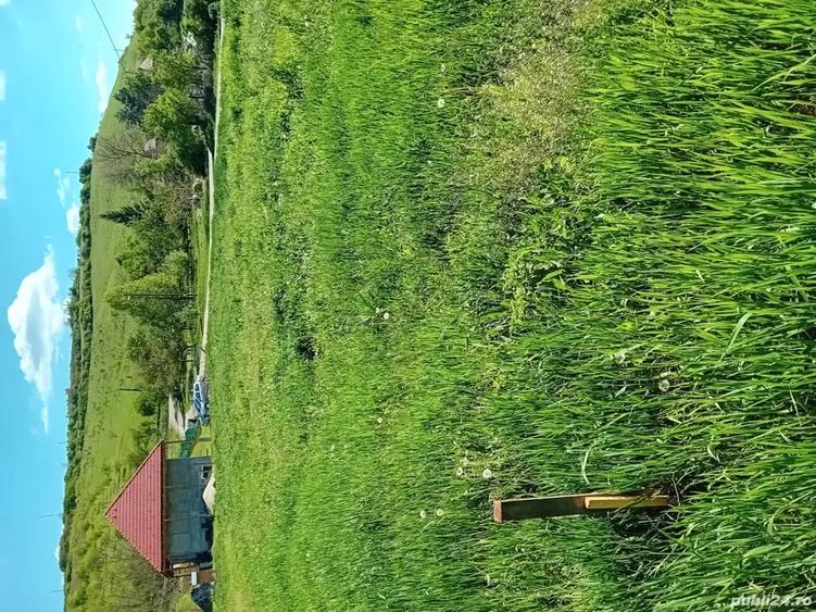 Teren de 1000 mp, în Căianu