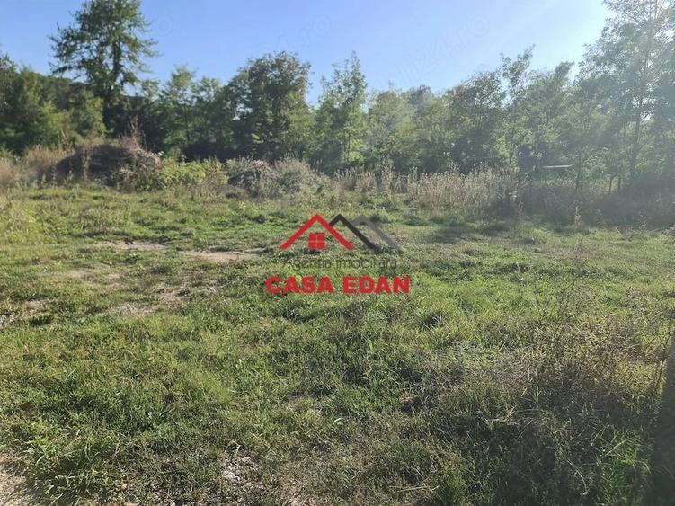 Teren de 1490 mp, în Cornu