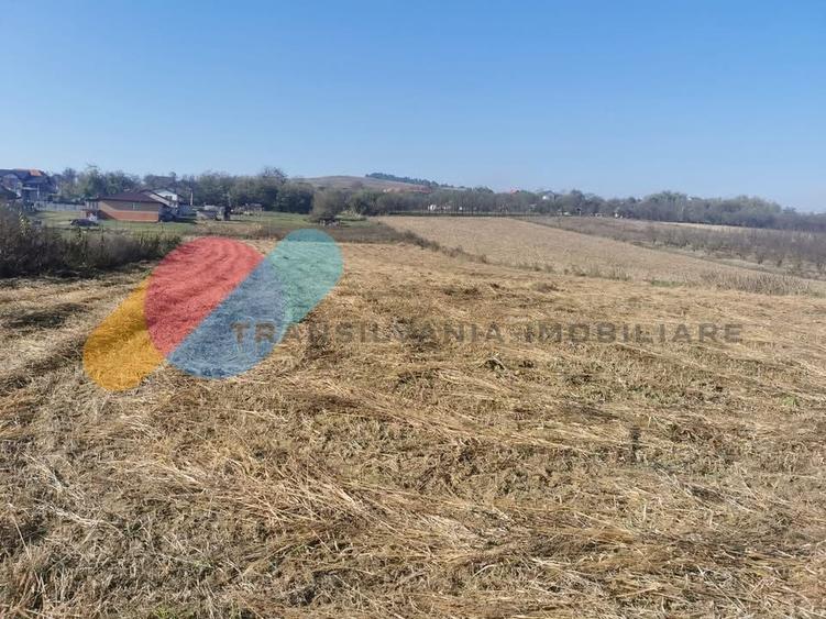 Casă individuală cu 3 camere cu Teren 8000 Mp în Mociu