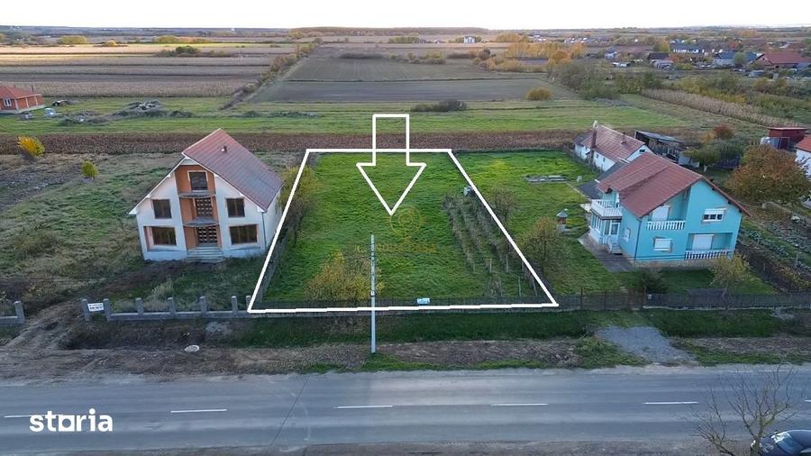 Teren de 1300 mp, în Micula