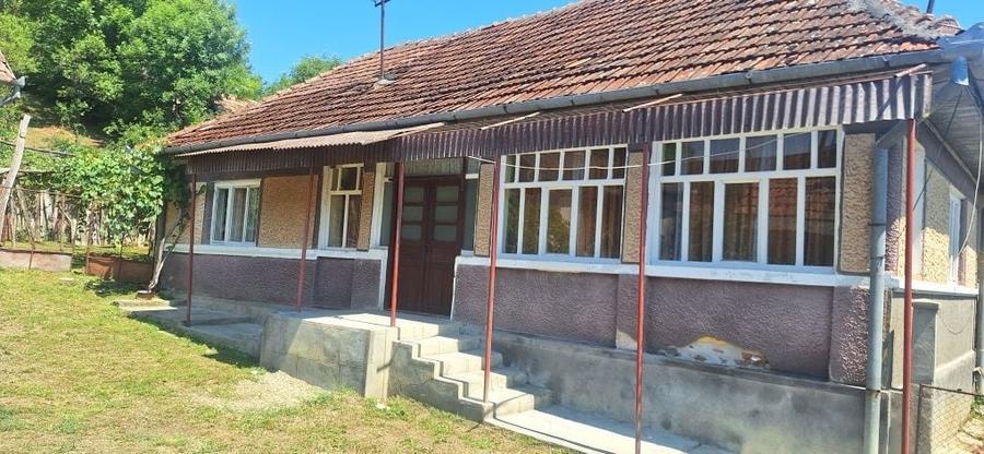 Casă cu 4 camere în Turbuța