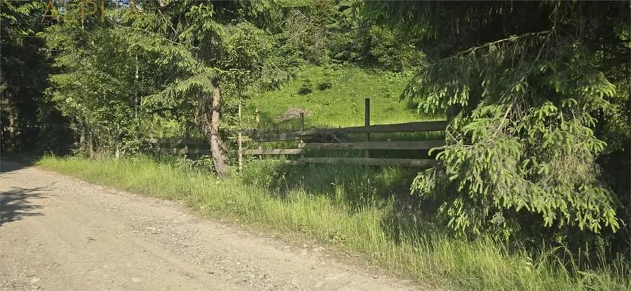 Teren de 1000 mp, în Colibița