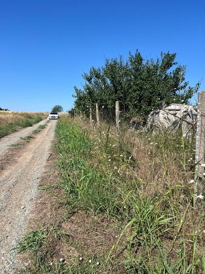 Teren Construcții intravilan de 900 mp, în Agigea