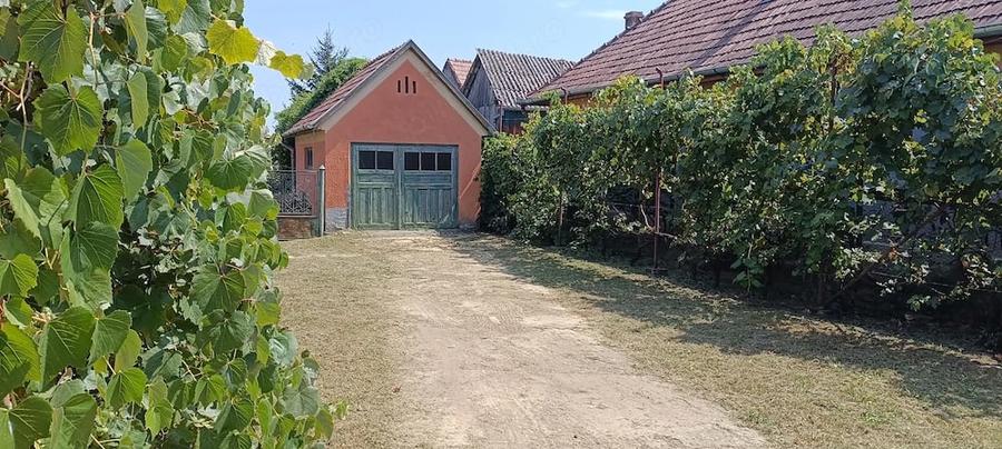 Casă cu 3 camere cu Teren 3000 Mp în Murgești
