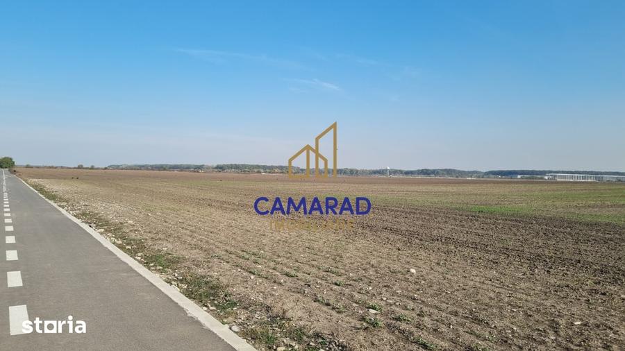 TEREN INTRAVILAN 3.870 MP BUFTEA | ZONA TAMASI | FRONT STRADAL 32 - 9
