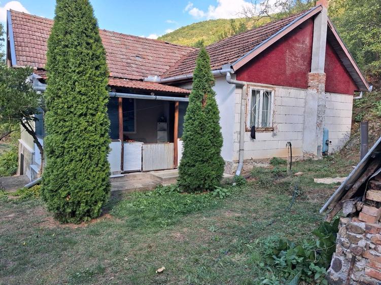 Casă cu 2 camere în Viile Apei