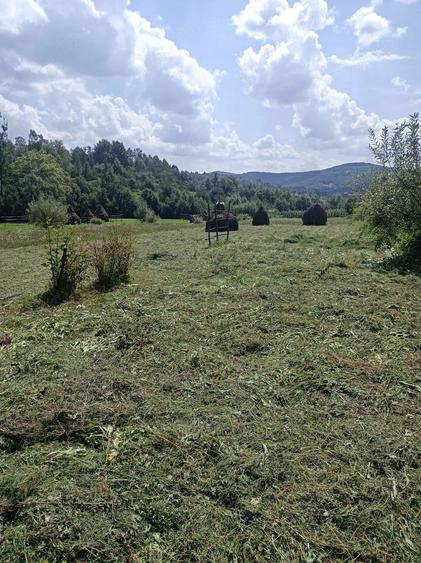 Casă cu Teren 35000 Mp în Strâmtura