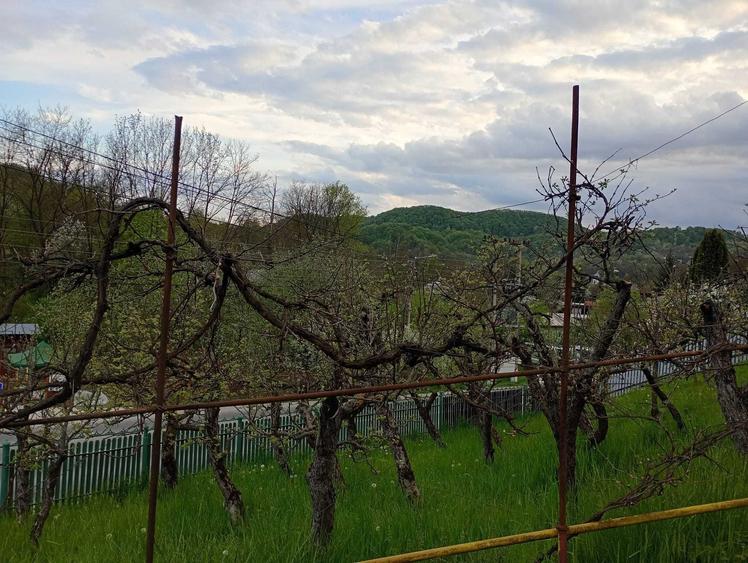 Casă cu 3 camere decomandat în Provița de Jos