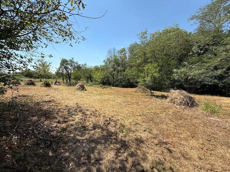 Teren de 3878 mp, în Cobia