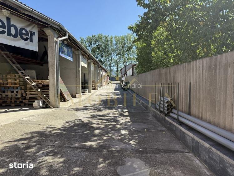 Casa individuala 260mp, teren 755mp + afacere, zona semicentrala