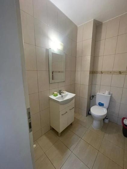 Studio open-space, 47 mp total, etaj 1, Brazda lui Novac - Valea Gangului - 9