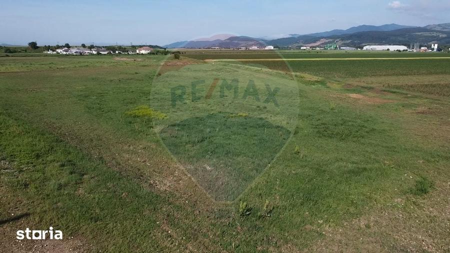 Teren de 39500 mp, în Vințu de Jos