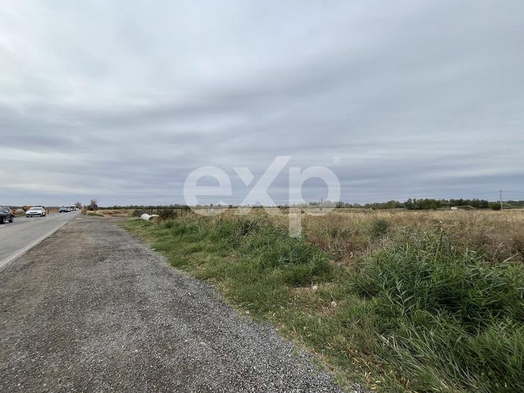 Teren Construcții intravilan de 15000 mp, în Găești