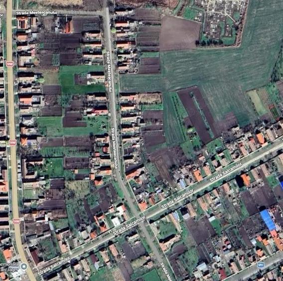 Teren de 1439 mp, în Cenei