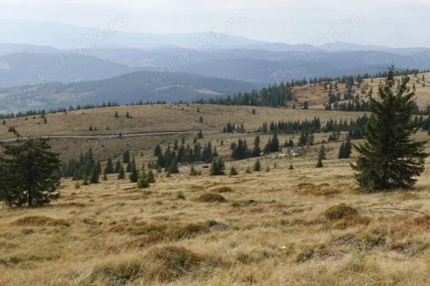 Teren de 12000 mp, în Petreasa