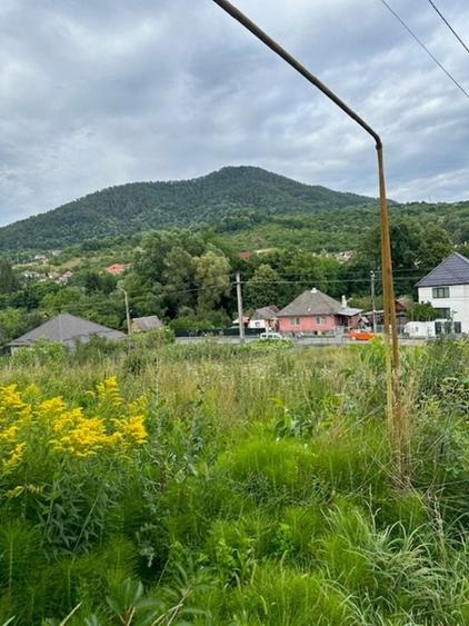 Teren Construcții intravilan de 2000 mp, în Valea Borcutului