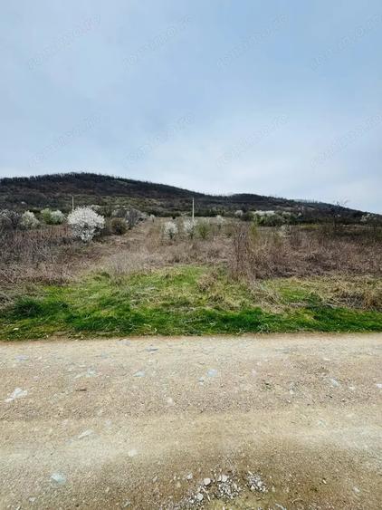 Teren de 6042 mp, în Berzasca
