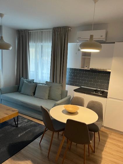 Apartament și studio de închiriat  - 5