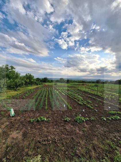 Casă individuală cu 2 camere cu Teren 7637 Mp în Călinești (Bucecea)