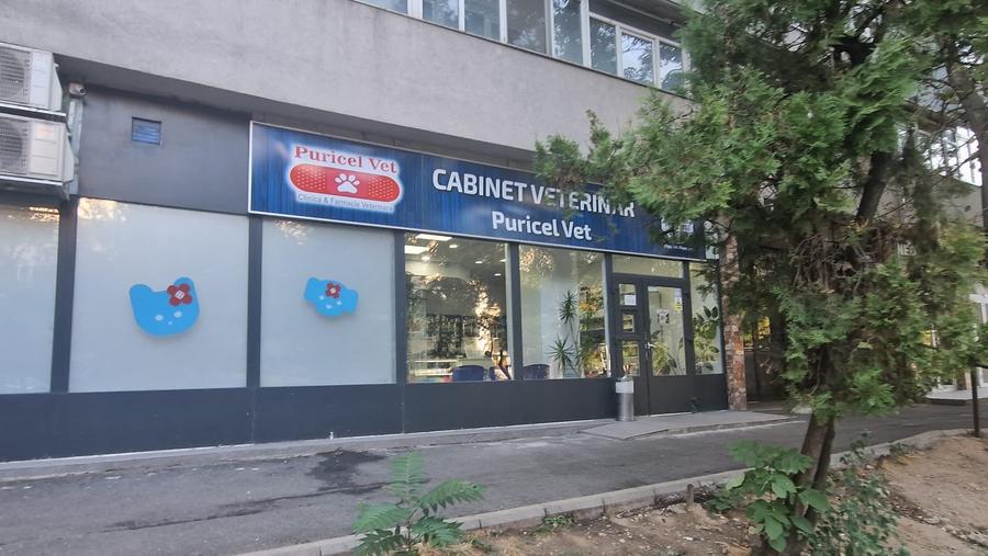 Spațiu comercial, de 100 mp, în Constructorilor