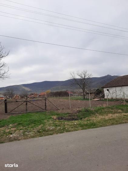 Teren de 1405 mp, în Șiria