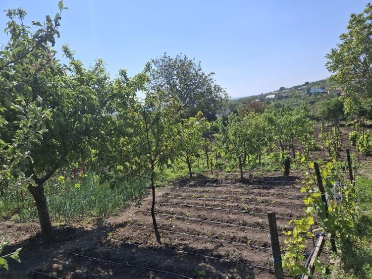 Casă individuală cu 4 camere cu Canalizare în Viișoara