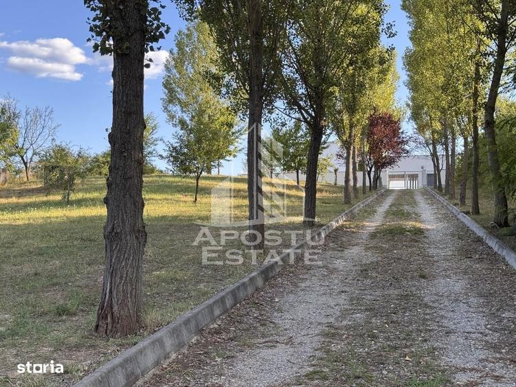 Casă cu 4 camere cu Teren 1080 Mp în Peștișu Mare