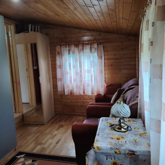 Spațiu comercial, în Daia