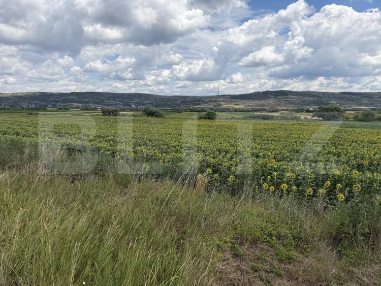Teren Construcții intravilan de 11500 mp, în Bobota