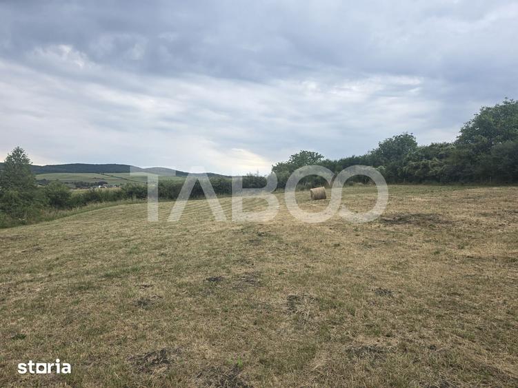 Teren de 8700 mp, în Șura Mare