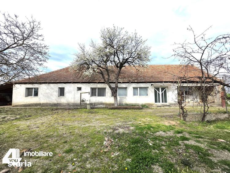 Casă cu 4 camere cu Teren 1737 Mp în Livada