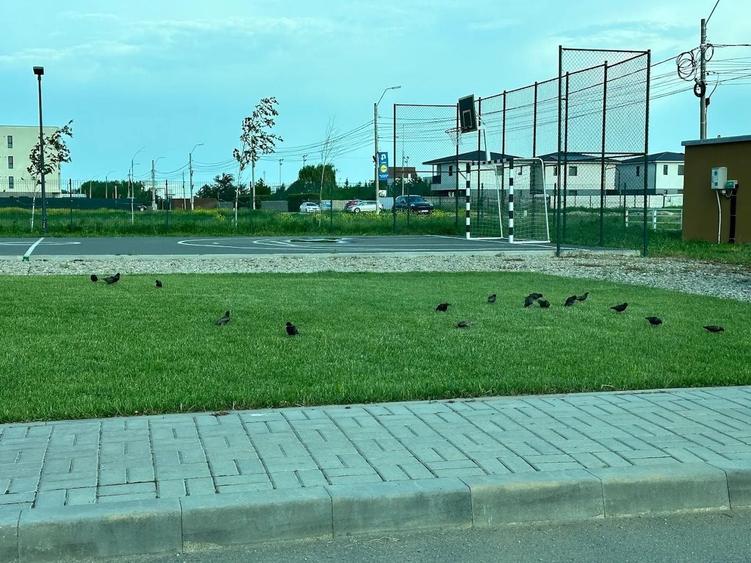 Apartament cu 2 camere semidecomandat, mobilat în Tunari