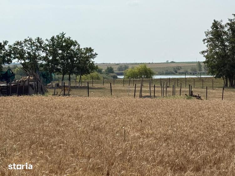Teren intravilan Miersig, vedere la lac. 12,5 E/mp neg. Comision 0 - 7