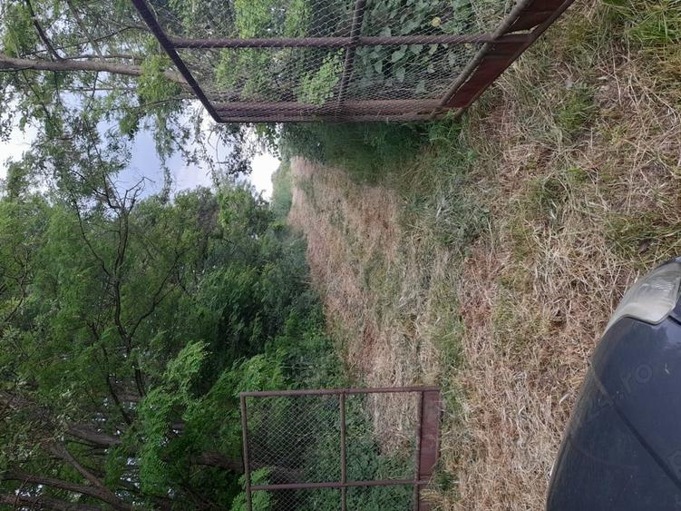 Teren de 34422 mp, în Bădeni