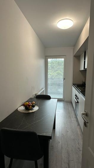 Apartament cu 2 camere decomandat, mobilat în Frumoasa