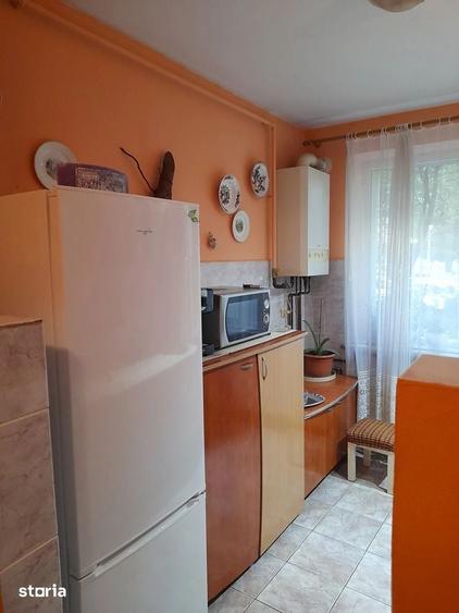 Apartament cu 2 camere semidecomandat în Săsar