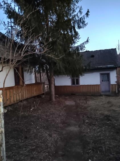 Casă cu 3 camere în Central