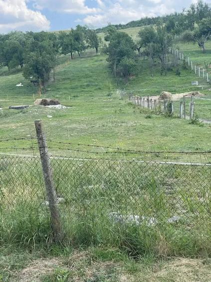 Teren de 1400 mp, în Jichișu de Jos