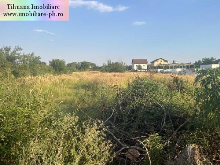 Teren Construcții intravilan de 2900 mp, în Blejoi