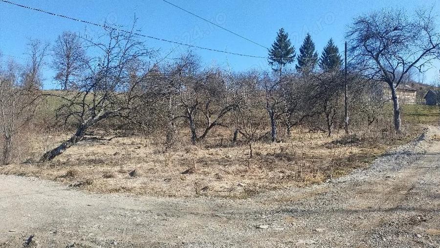 Teren de 1600 mp, în Vișeu de Mijloc