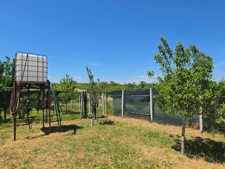 Teren Construcții intravilan de 1200 mp, în Varlaam