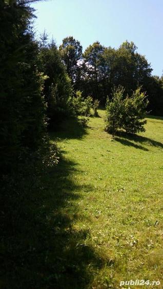 Casă cu 6 camere în Câmpeni