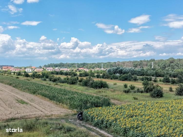 Spațiu comercial, în Gulia
