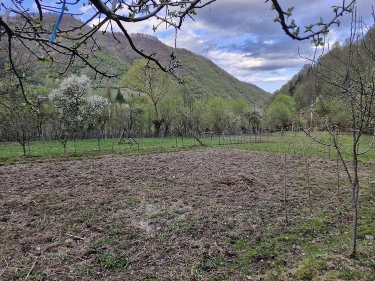 Casă în Ciungetu