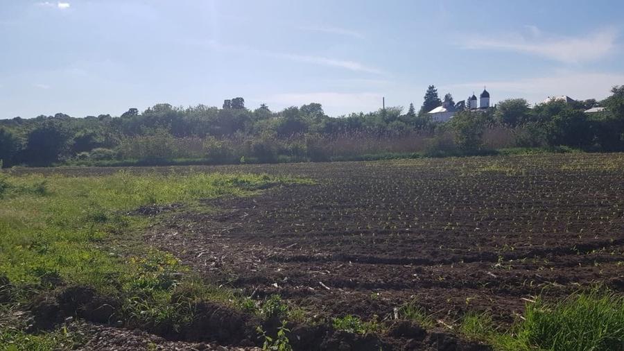 Teren Construcții intravilan de 977 mp, în Ciolpani
