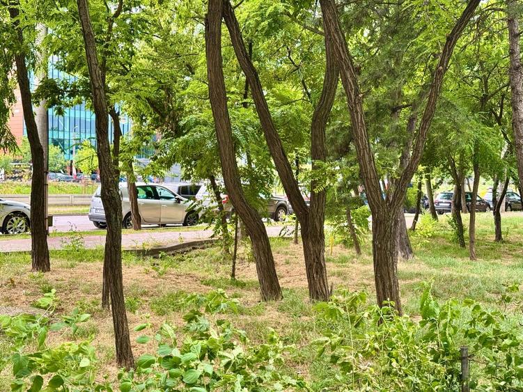 Apartament cu 2 camere semidecomandat în Podu Roș