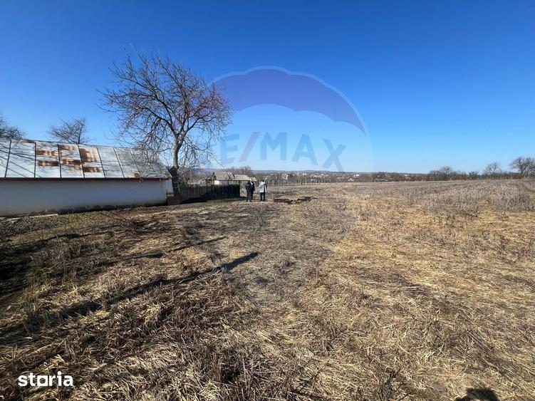 Casă cu 3 camere cu Teren 7000 Mp în Movilița