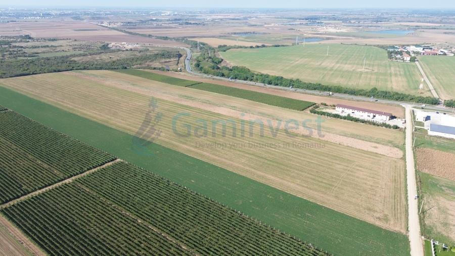 Teren Construcții intravilan de 66400 mp, în Biharia